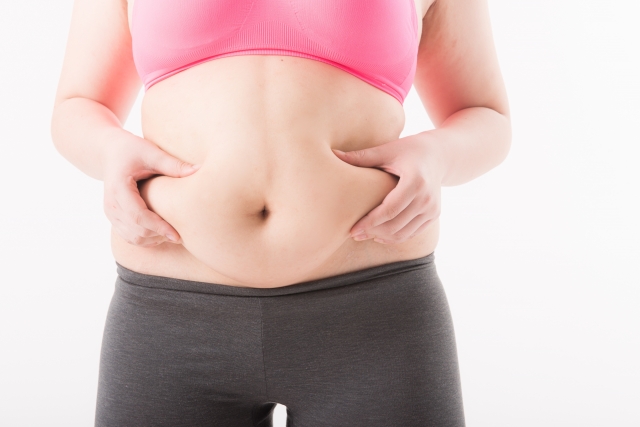 お腹周りの脂肪の原因と落とし方！運動と食事で内臓脂肪を減らす秘訣を徹底紹介 Part 2